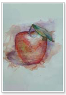 morfes, ����� portfolio